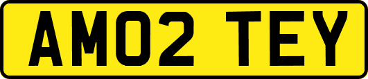 AM02TEY