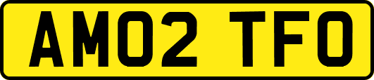 AM02TFO