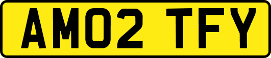 AM02TFY