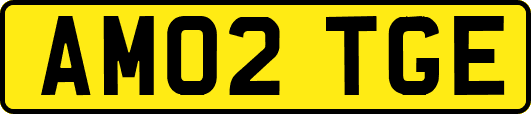 AM02TGE