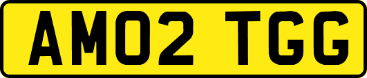 AM02TGG