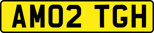 AM02TGH