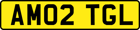AM02TGL