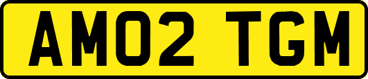 AM02TGM