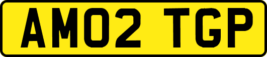 AM02TGP