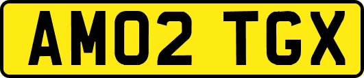 AM02TGX