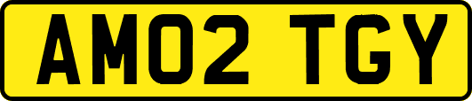 AM02TGY