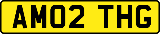 AM02THG