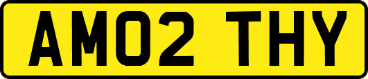 AM02THY