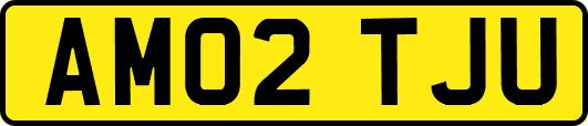 AM02TJU