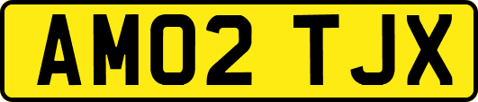 AM02TJX