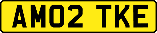 AM02TKE