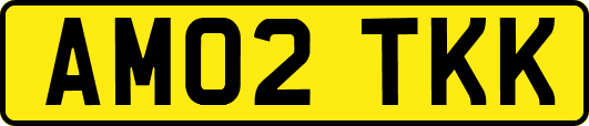AM02TKK