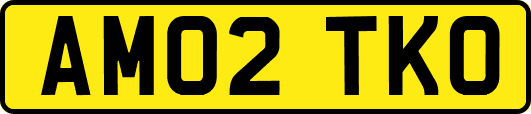 AM02TKO