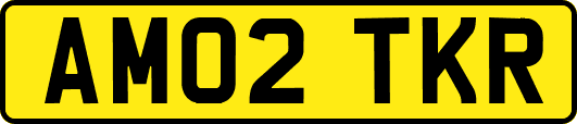 AM02TKR