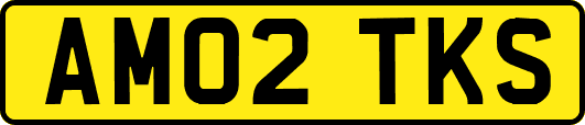 AM02TKS