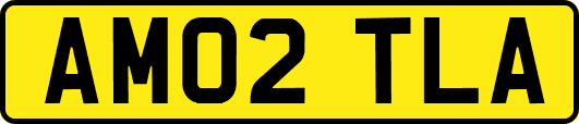 AM02TLA