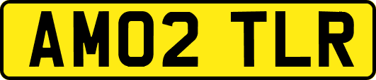 AM02TLR