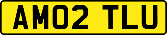 AM02TLU