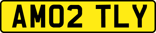 AM02TLY