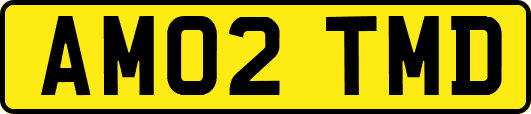 AM02TMD