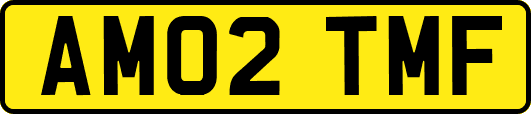 AM02TMF