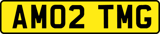 AM02TMG