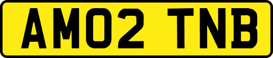 AM02TNB