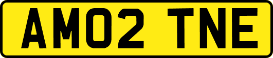 AM02TNE