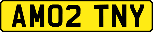 AM02TNY