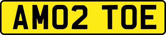 AM02TOE