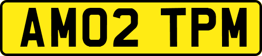 AM02TPM
