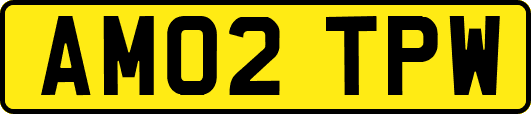 AM02TPW