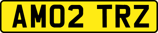 AM02TRZ