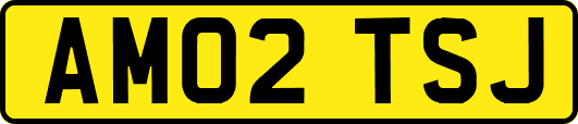 AM02TSJ