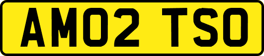 AM02TSO