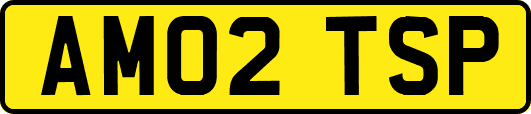 AM02TSP
