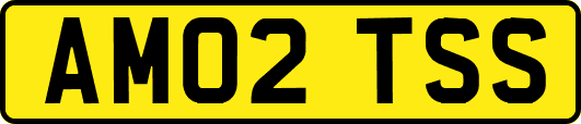 AM02TSS