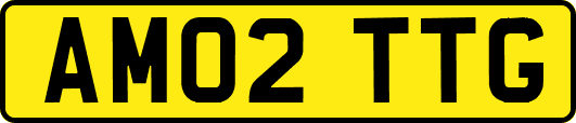 AM02TTG