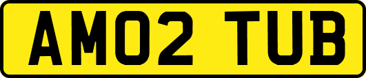 AM02TUB