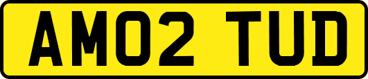 AM02TUD