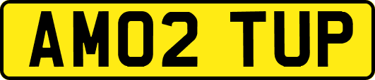 AM02TUP