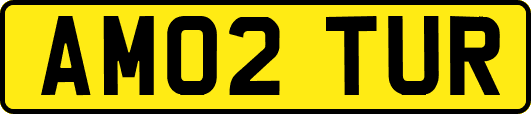 AM02TUR