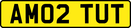 AM02TUT