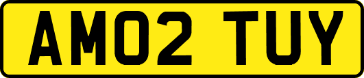AM02TUY