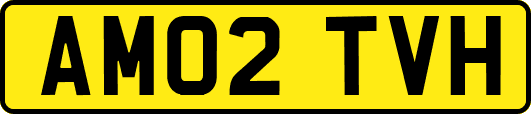 AM02TVH