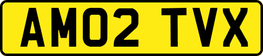 AM02TVX