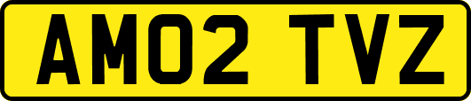 AM02TVZ