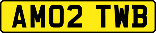 AM02TWB