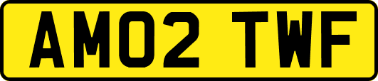 AM02TWF